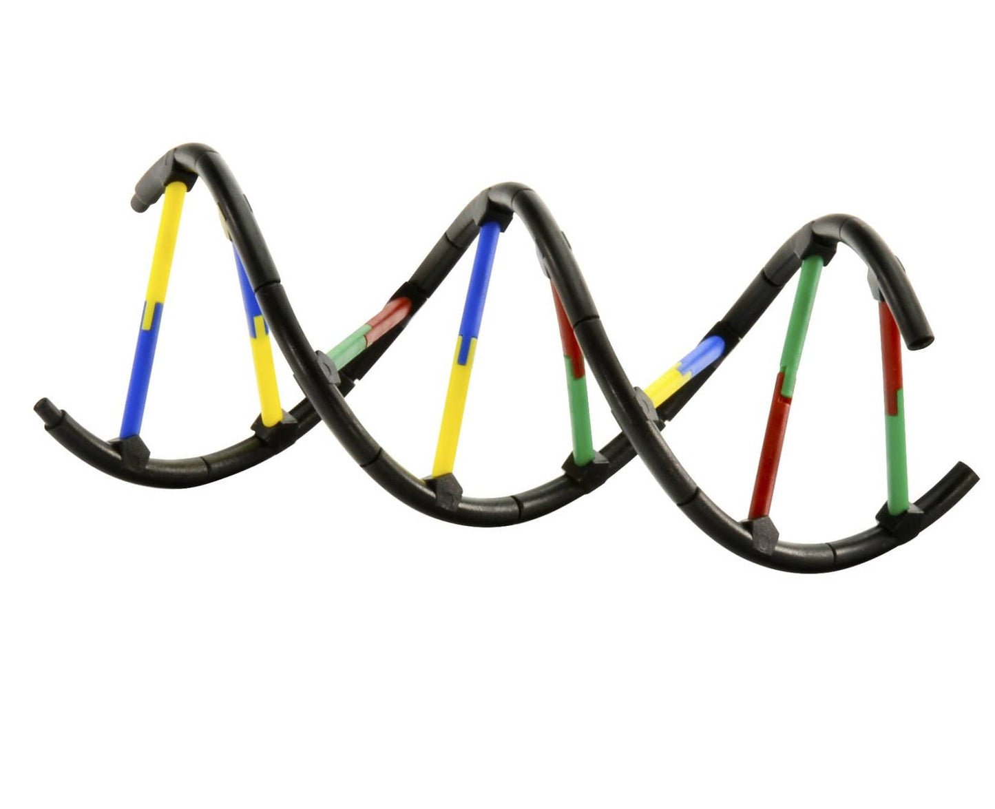 Genetics & DNA Science kit