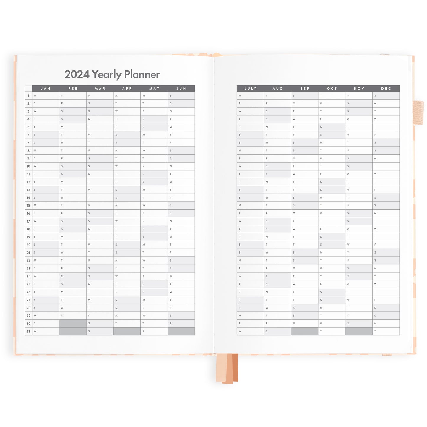 2024 A5 Daisy Diary