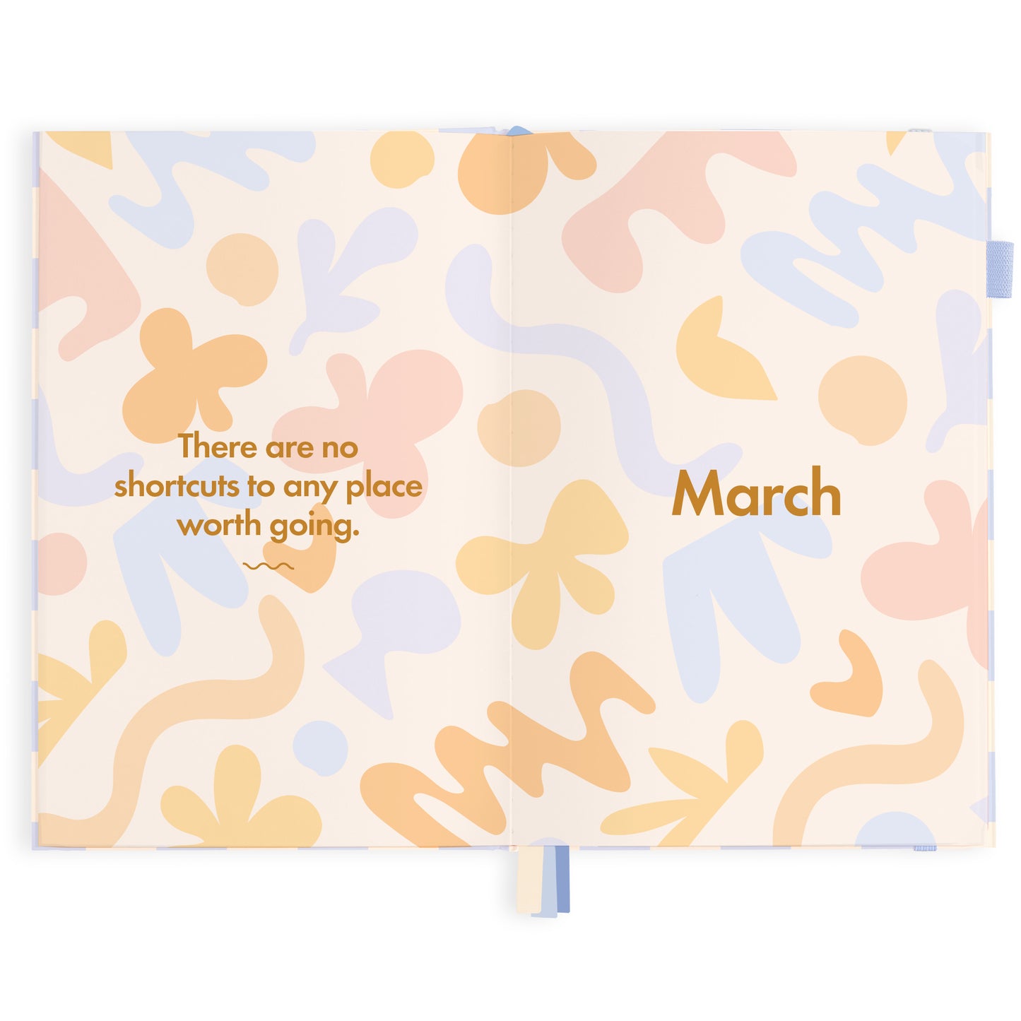 2024 A5 Blue Check Diary