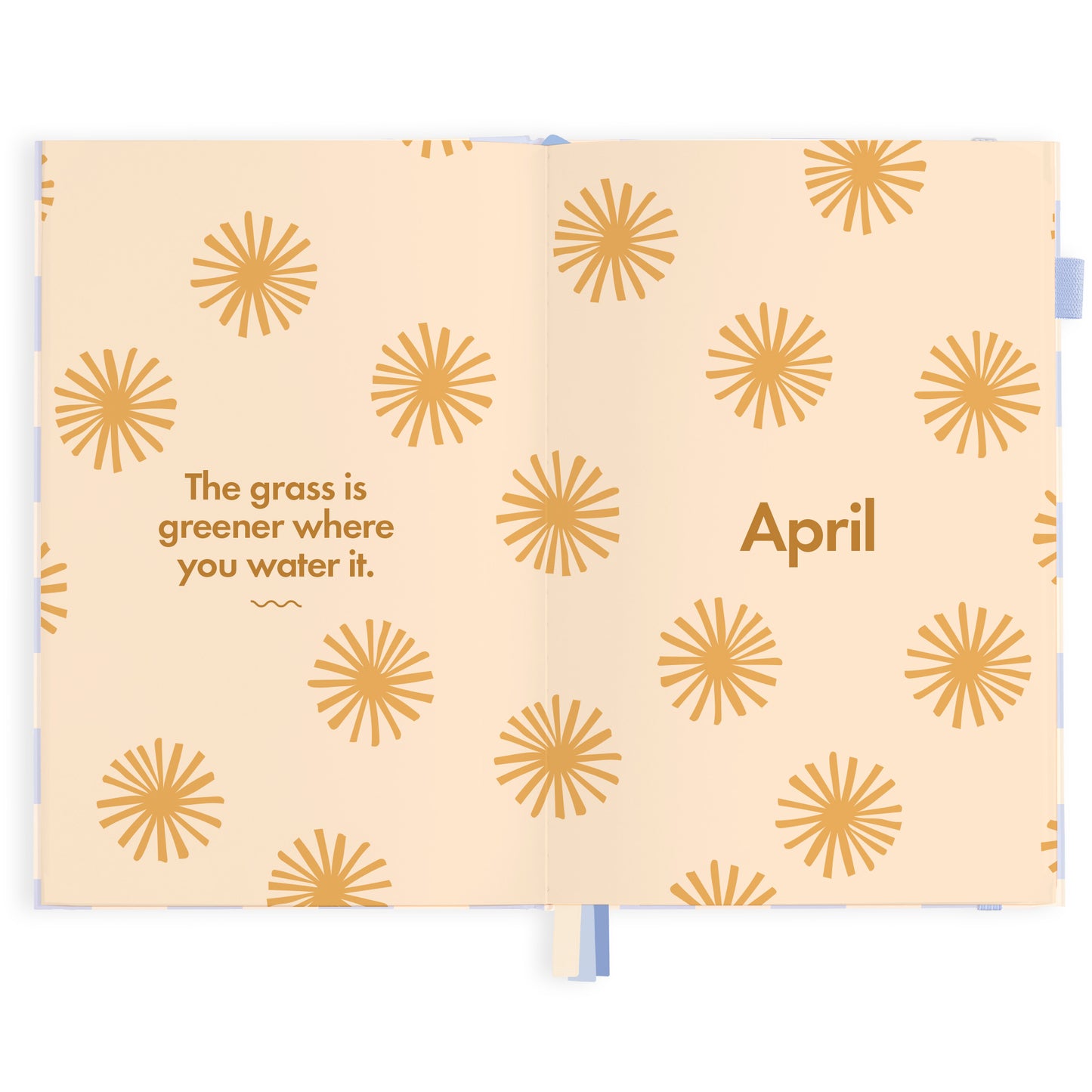 2024 A5 Blue Check Diary