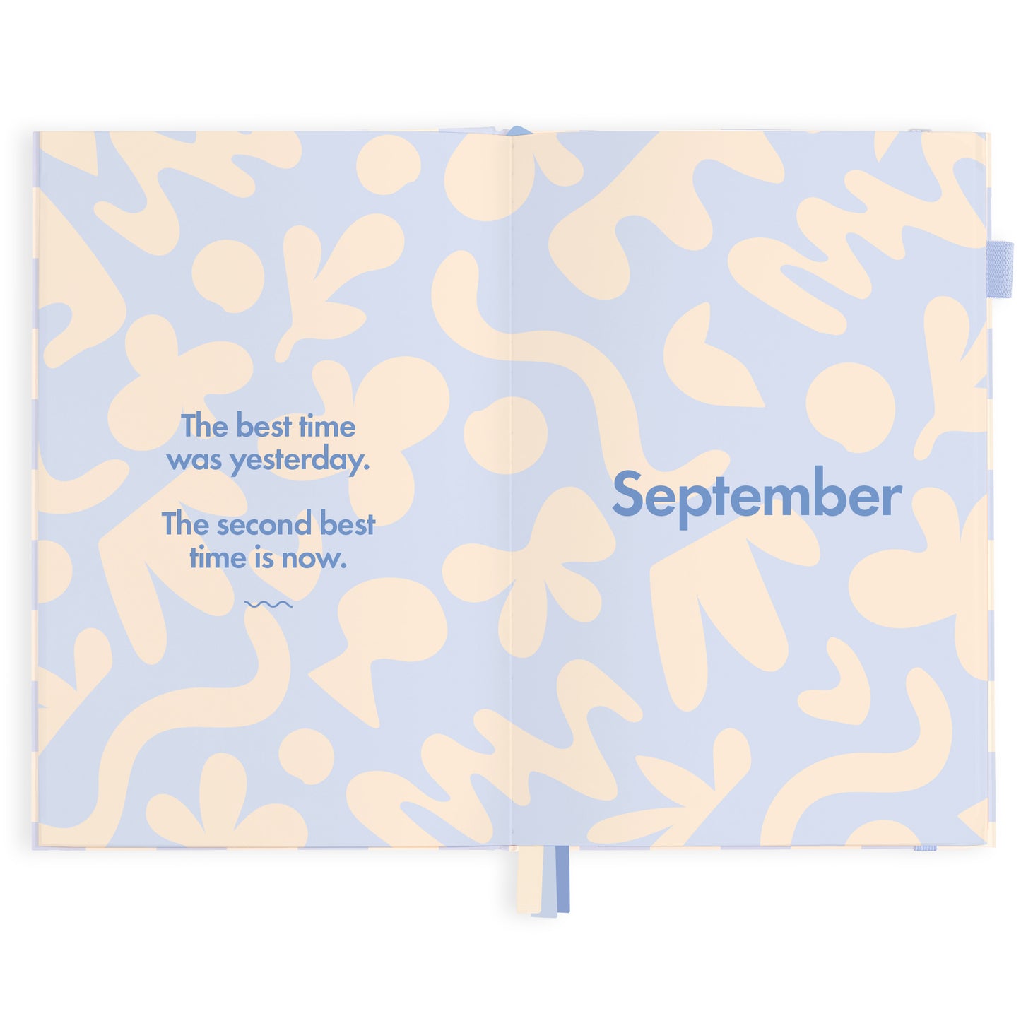 2024 A5 Blue Check Diary