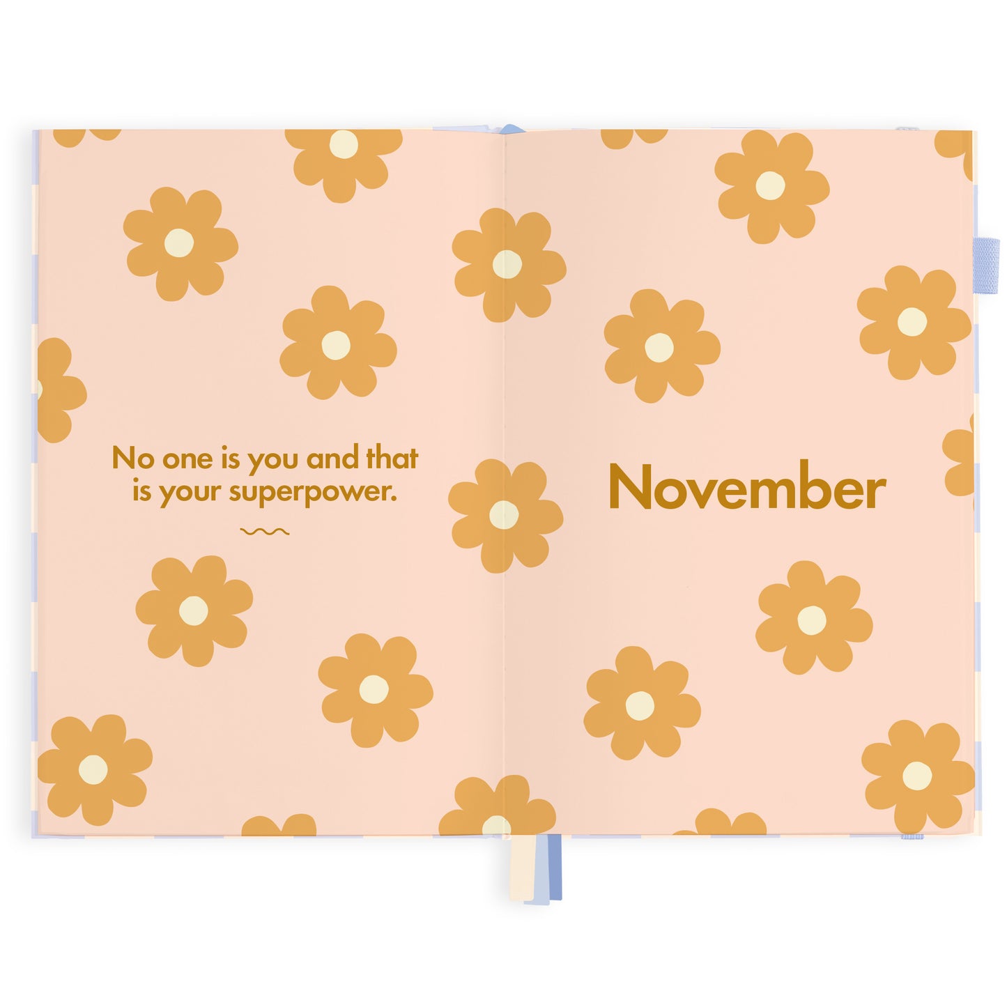 2024 A5 Blue Check Diary