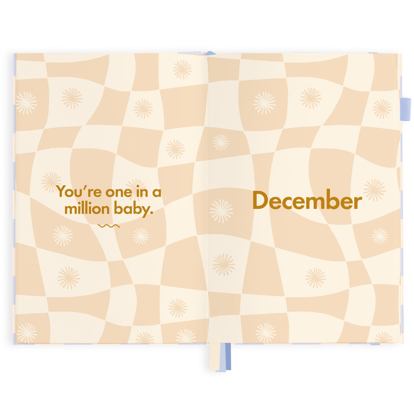 2024 A5 Blue Check Diary