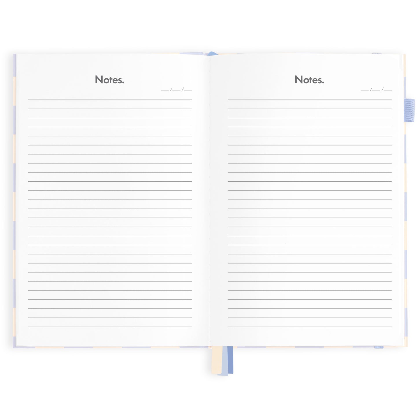 2024 A5 Blue Check Diary