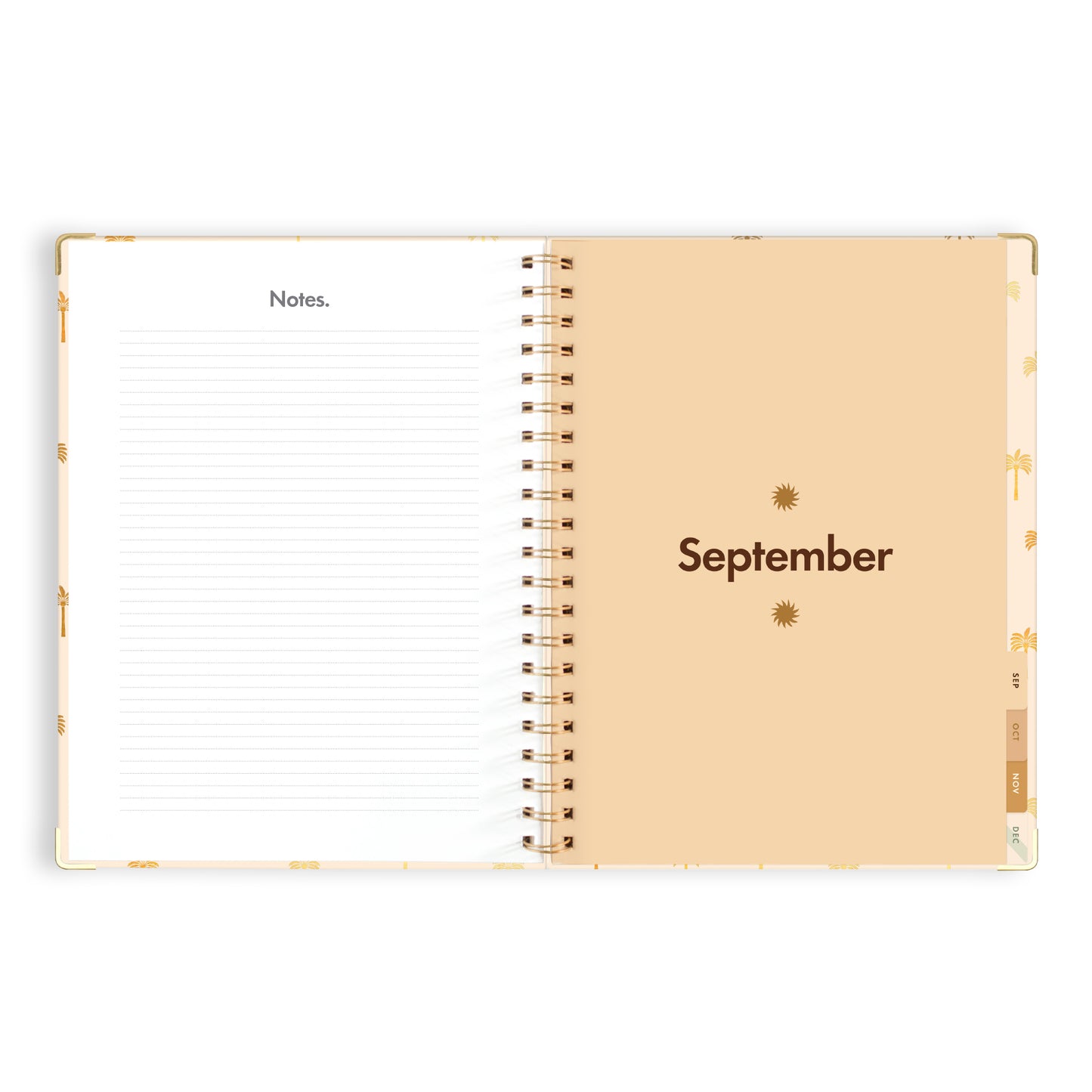2024 A4 Teacher Planner- Tiny Palms