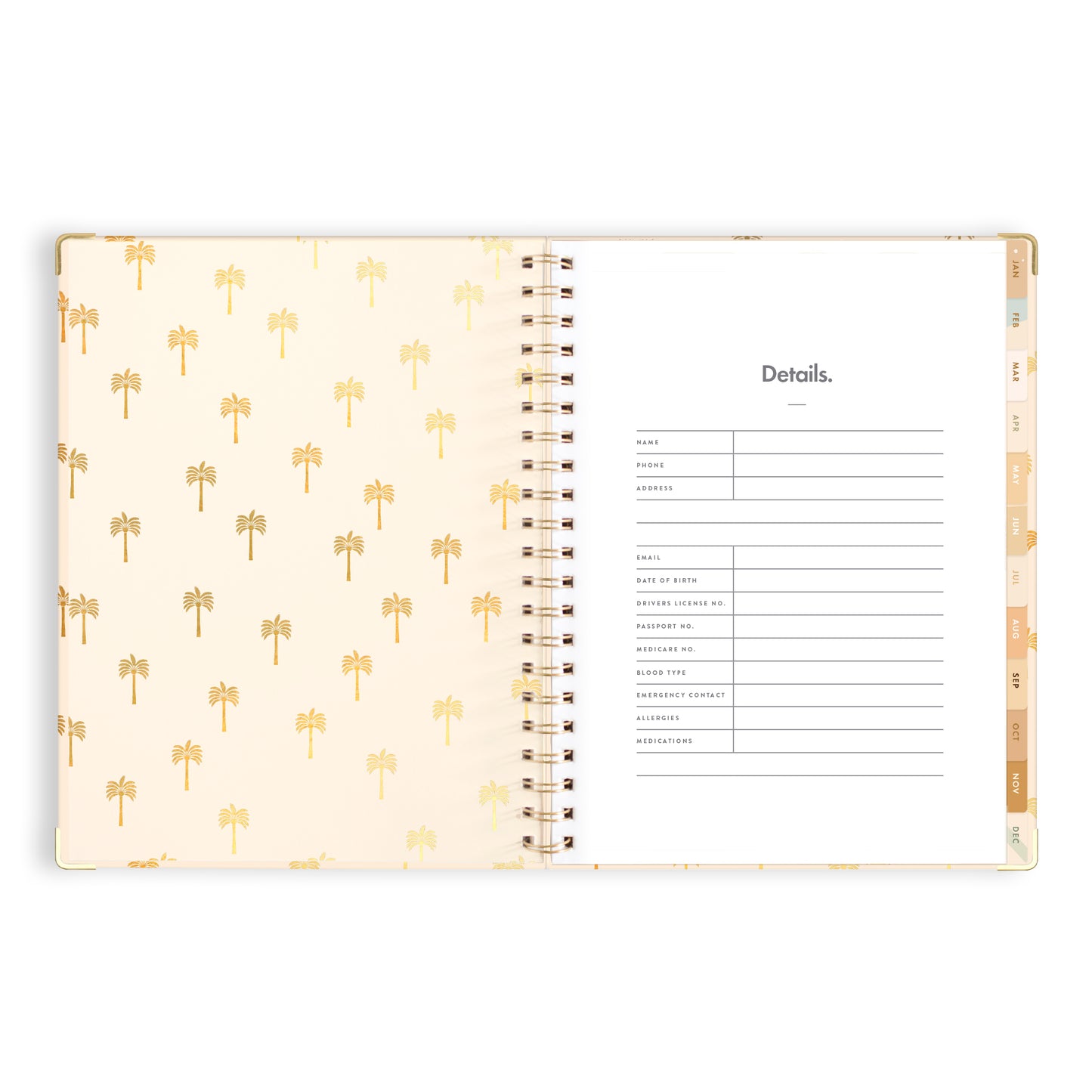 2024 A4 Teacher Planner- Tiny Palms