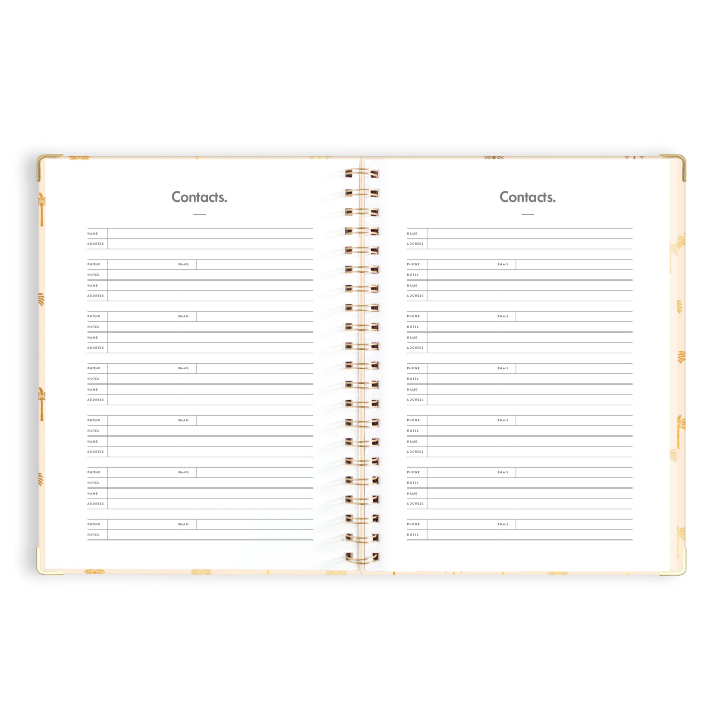 2024 A4 Teacher Planner- Tiny Palms