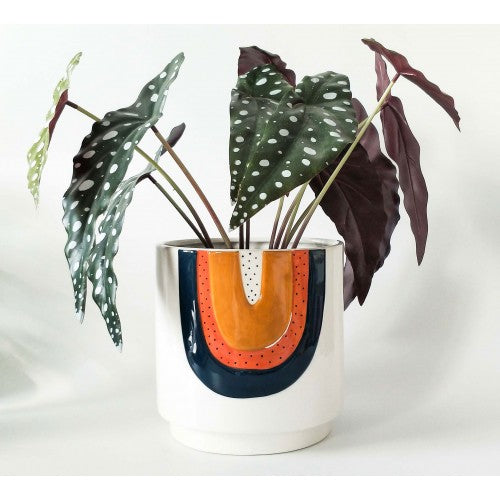 Rainbow Planter Blue 17cm