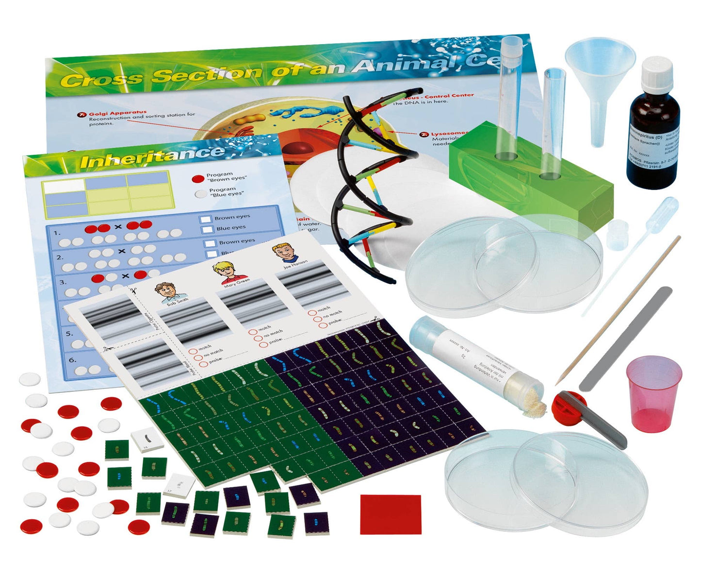 Genetics & DNA Science kit